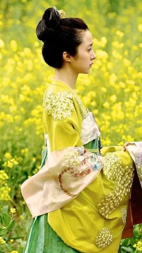 柜中美人 胡冰卿