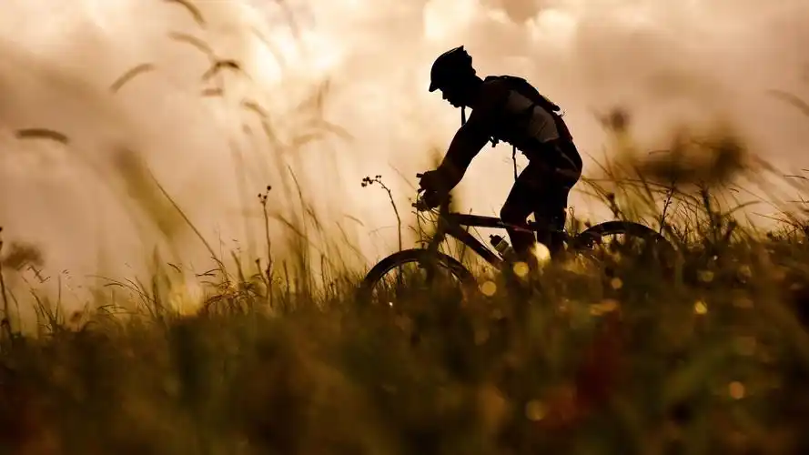 体育,山地车,自行车,运动,山地车运动壁纸