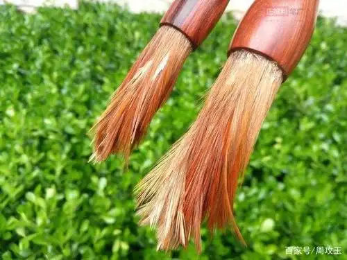 鸡毛笔