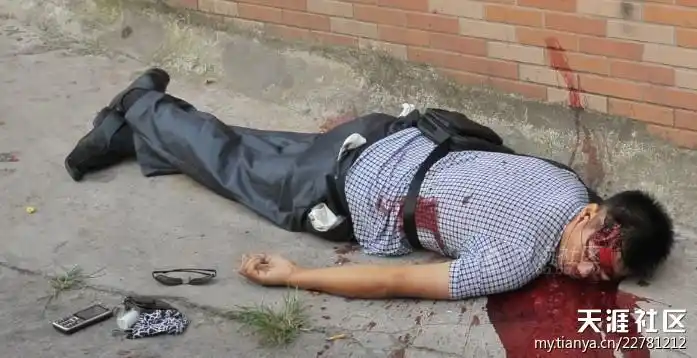 图周克华被击毙