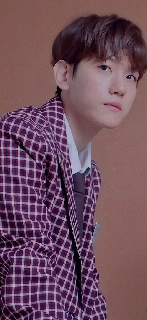 边伯贤burberry ambassador