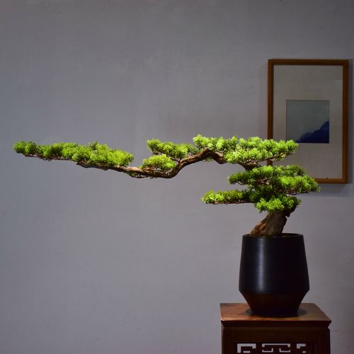 新中式盆景室内日式家居装饰玄关酒店客厅绿植实木摆件